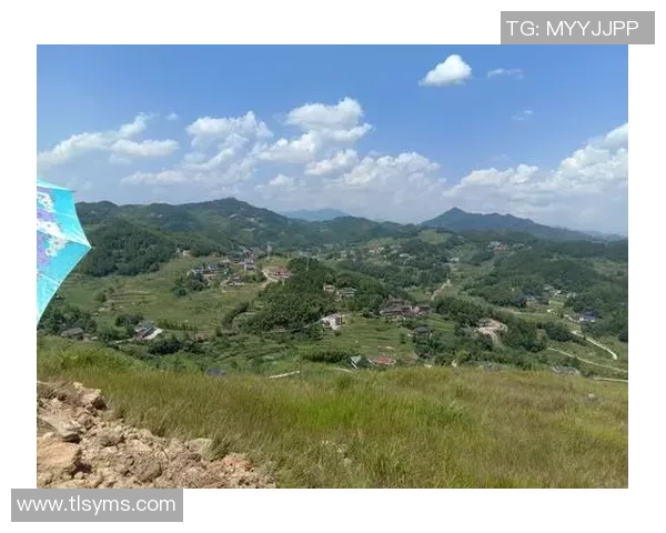 安溪足球球星逐梦绿茵展现家乡力量引领青年奋勇前行